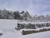 sous-la-neige-036