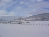 sous-la-neige-066